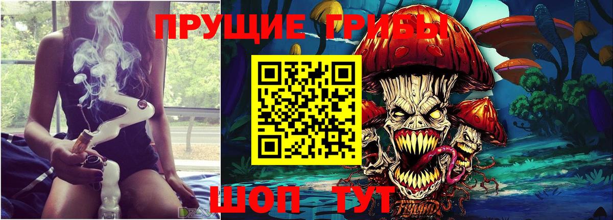 Отрадное  Псилоцибиновые грибы GOLDEN TEACHER  Вход с VPN 