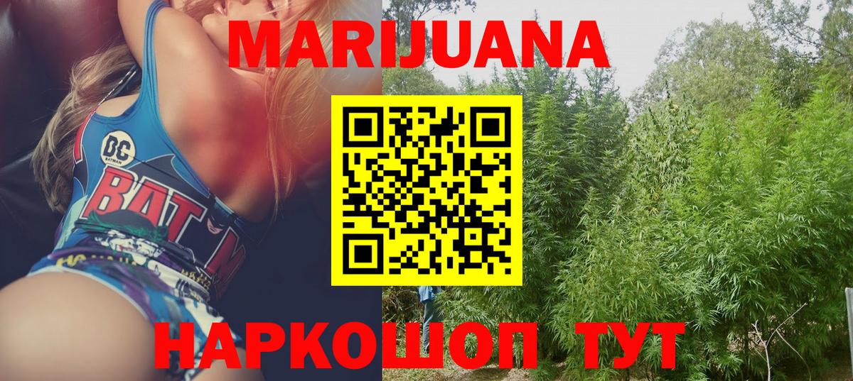 Конопля сатива Отрадное